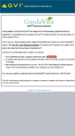Mobile Screenshot of gvi.com